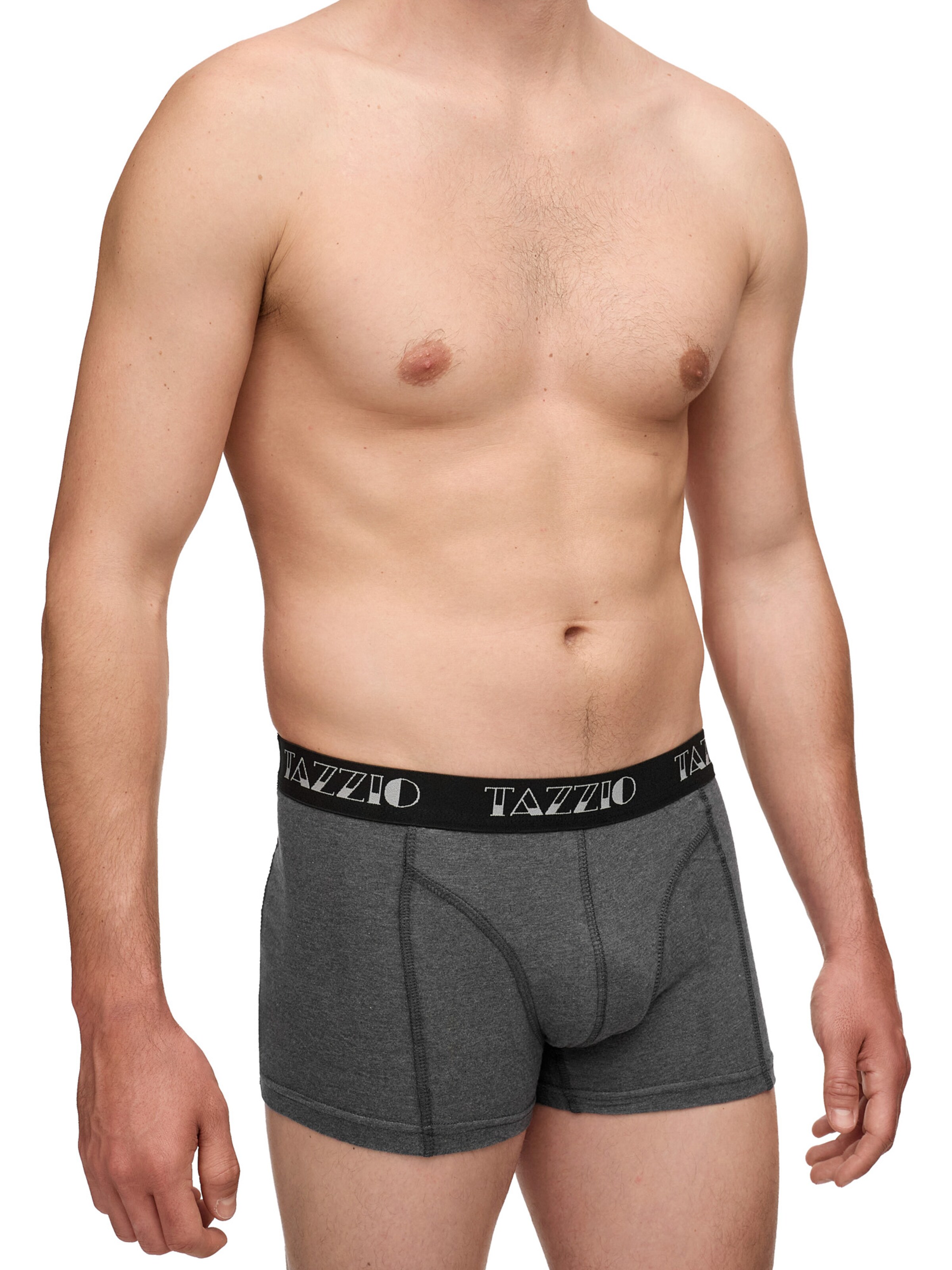 Tazzio Boxershorts 'BS1000' in Grijs