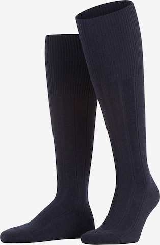 FALKE Knee High Socks 'Lhasa Rib' in Blue: front