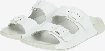 ECCO Mules in White