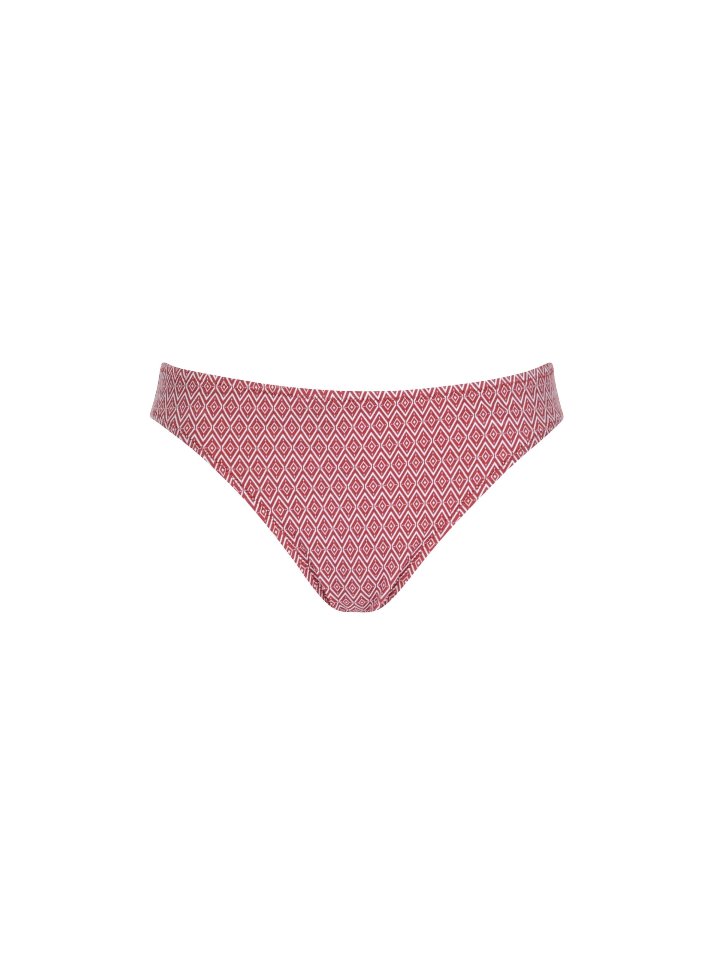 OLYMPIA Bikini Bottoms in Purple
