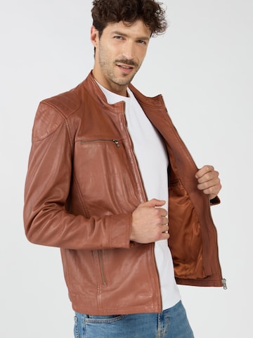 JCC Tussenjas in Bruin