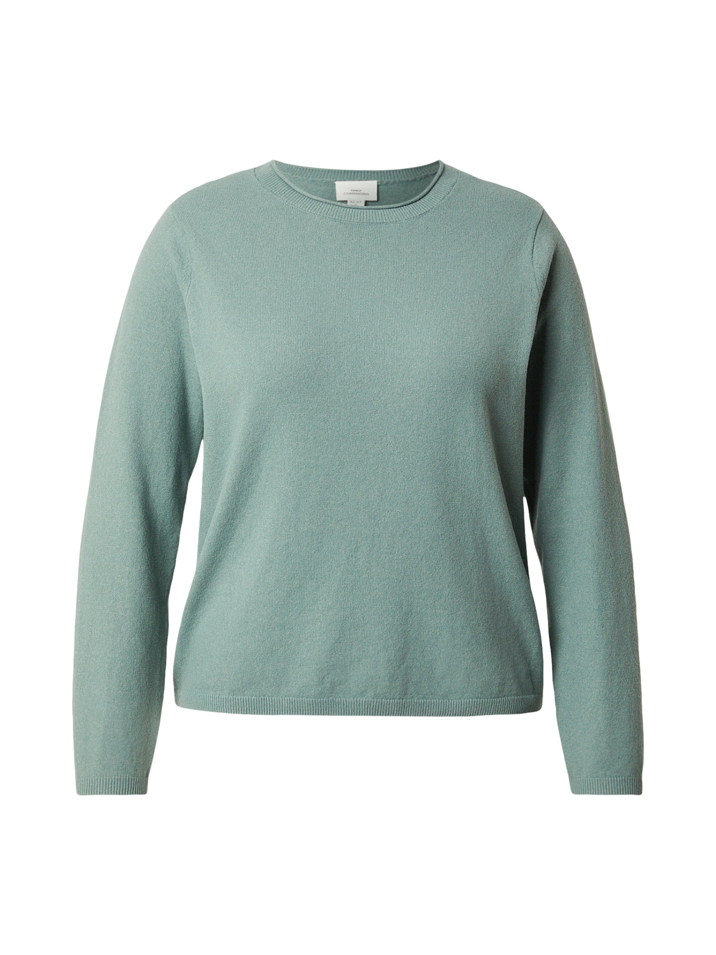 Pullover 'CARLOYAL' di ONLY Carmakoma in verde: frontale