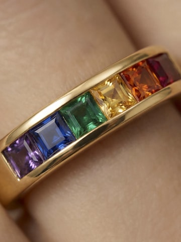 Luxenter Ring 'Kasee' in Mischfarben