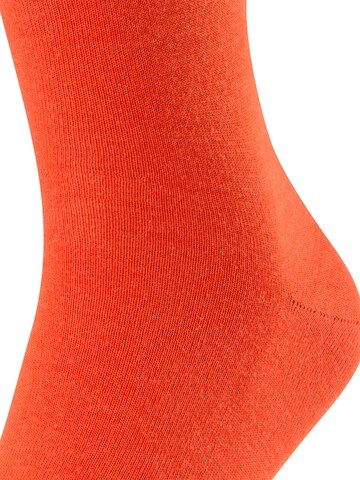 FALKE Socks 'Airport' in Grey