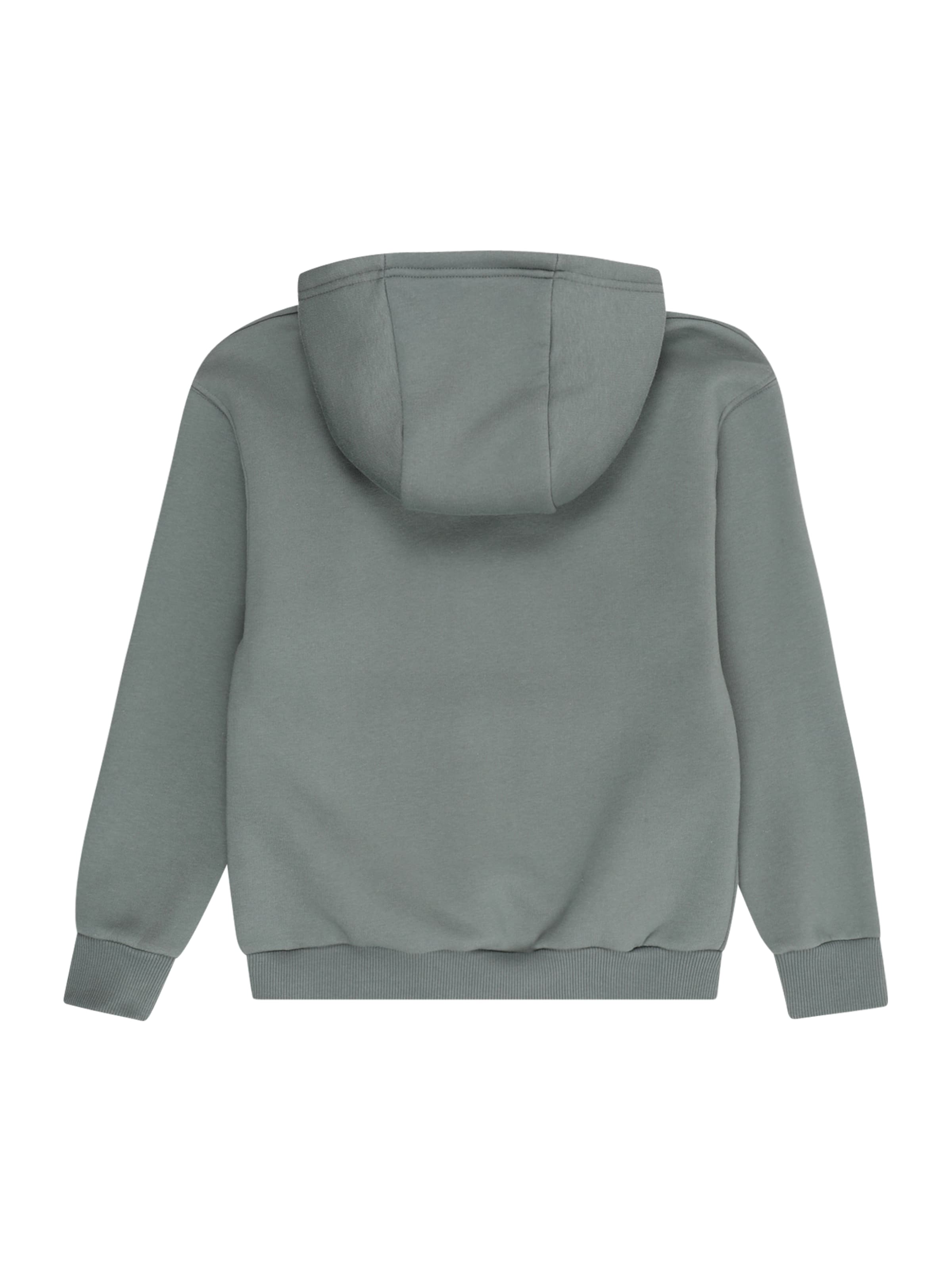 Felpa 'FERGAL' di Cars Jeans in verde