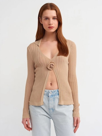 T-shirt 'Blusen' Dilvin en beige : devant