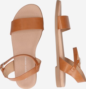 Dorothy Perkins Sandalen met riem in Bruin