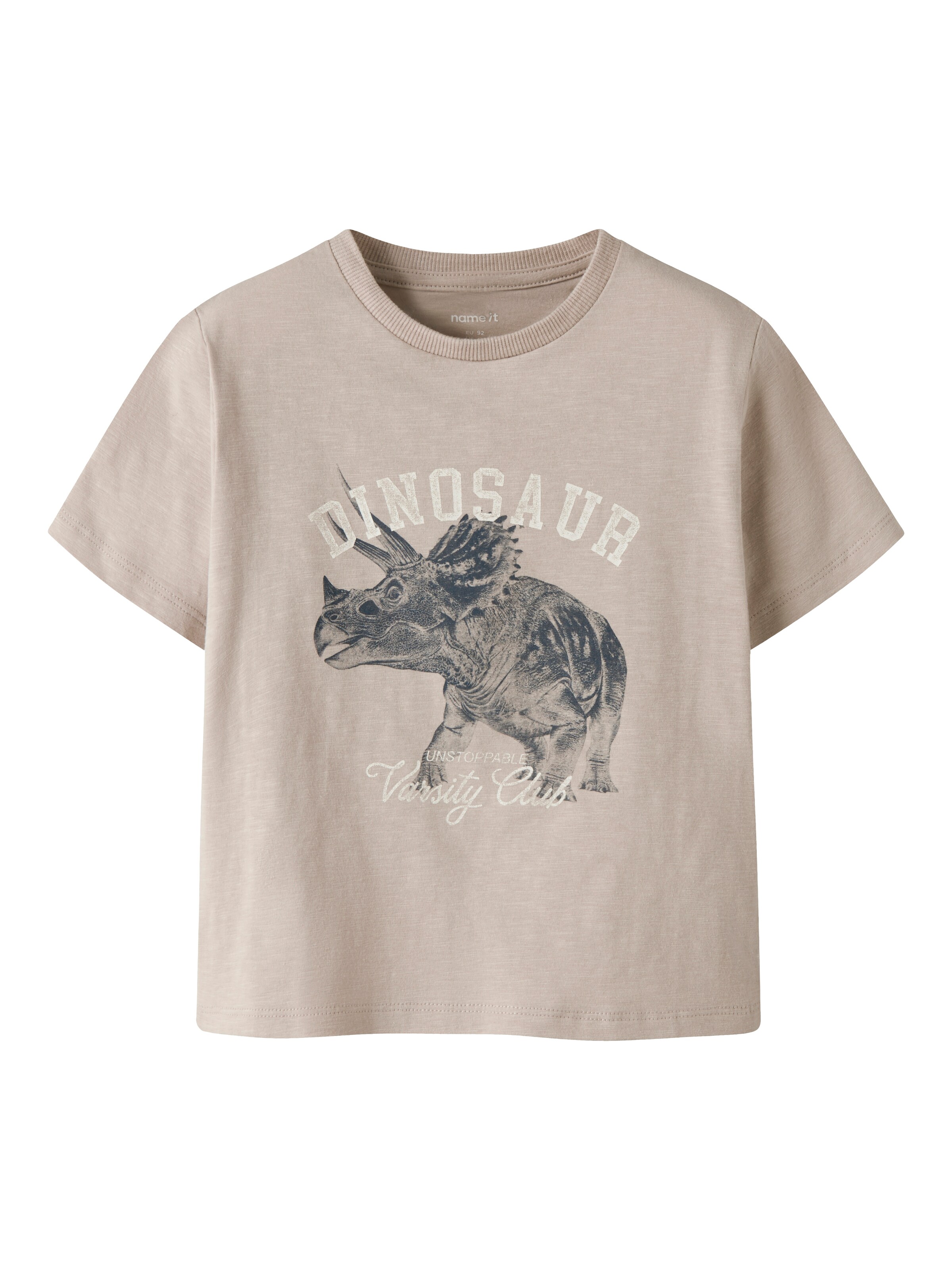 NAME IT Shirt 'NMMFEATH'‌‌‌‌ in Beige: Vorderseite