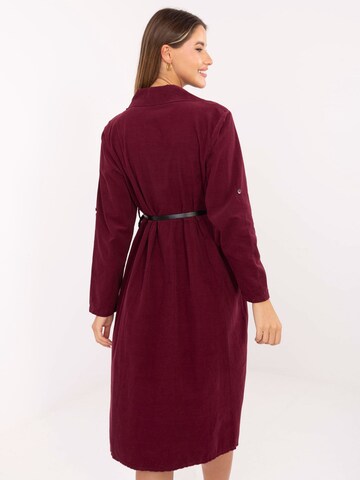 Madnezz House Kleid in Rot