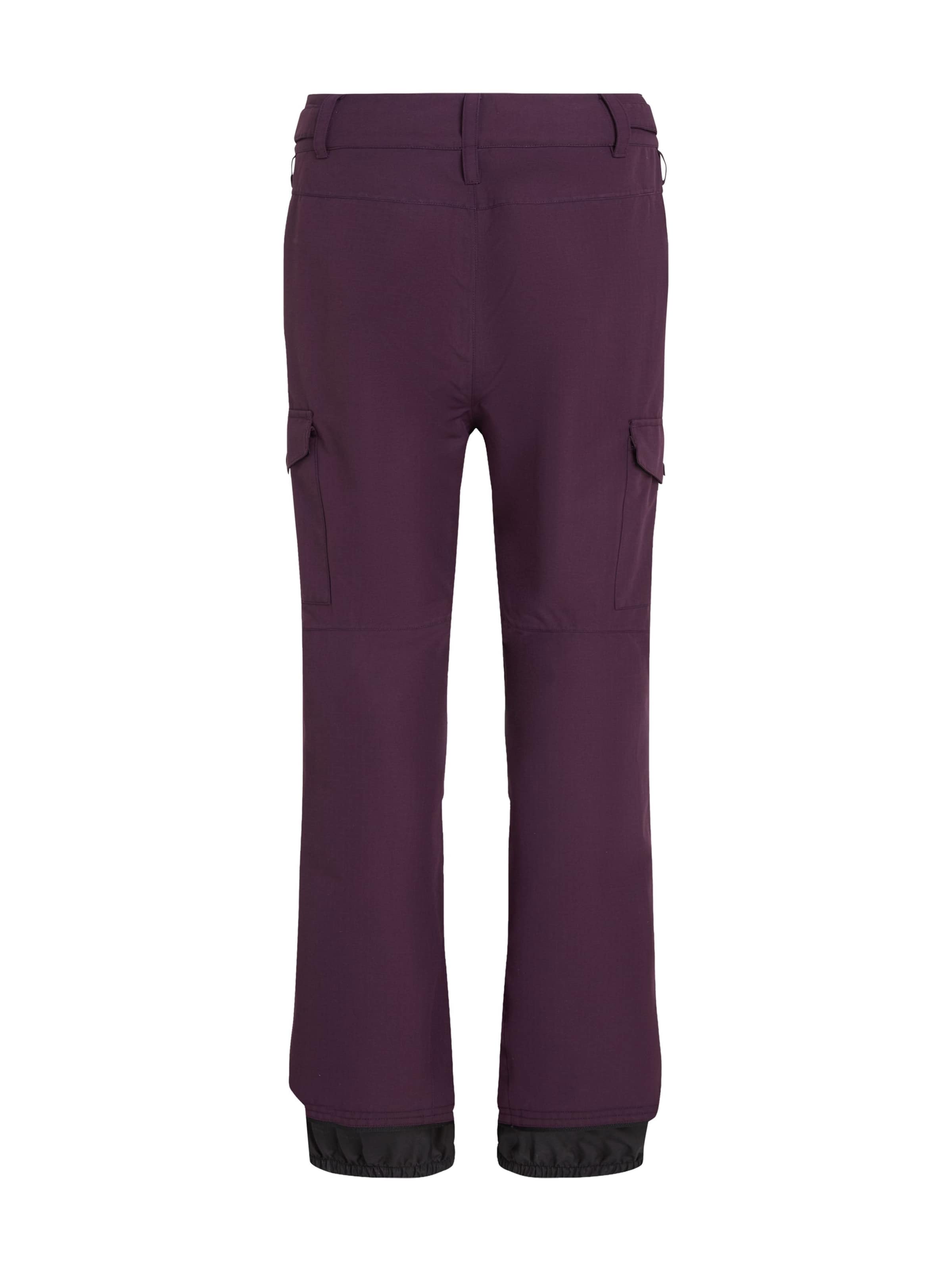 O'NEILL Loose fit Outdoor trousers 'Utility Pro' in Purple