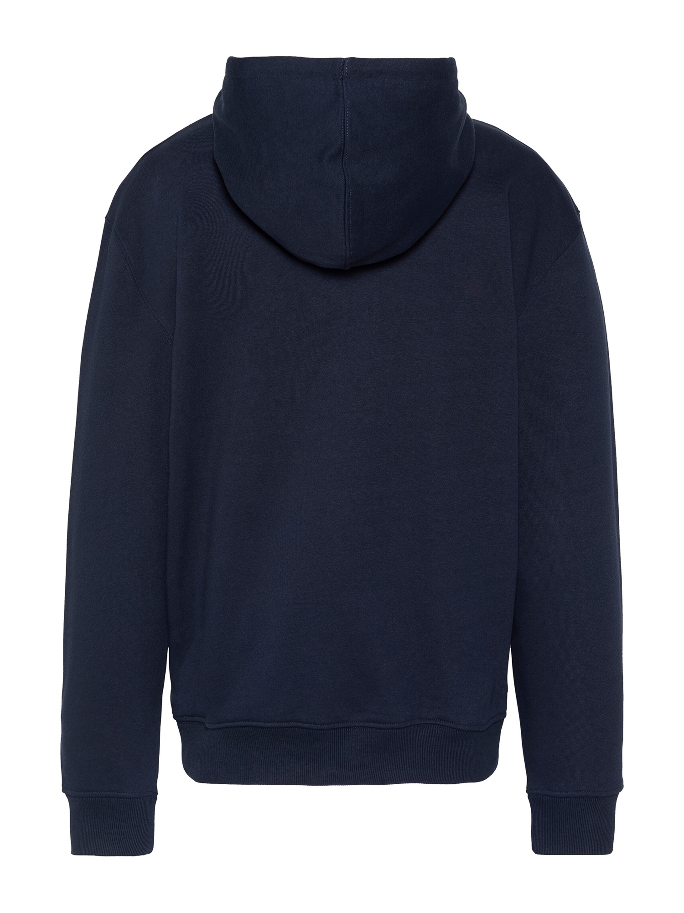 Schott NYC Sweatshirt in Blue