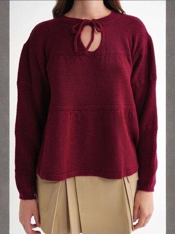 MixRay - Pullover 'Pullover' em vermelho