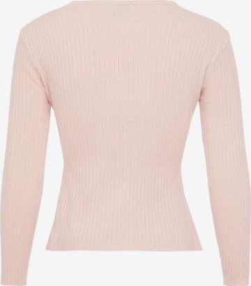 EUCALY Sweater in Pink