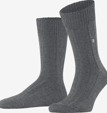 BURLINGTON Socks 'Dover' in Grey: front