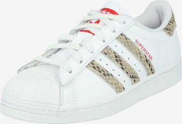 ADIDAS ORIGINALS Sneakers laag 'Superstar' in Wit: voorkant