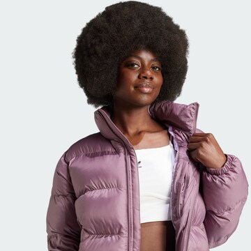 ADIDAS ORIGINALS Winter jacket 'Adicolor' in Purple