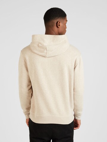 HOLLISTER Sweatshirt in Braun