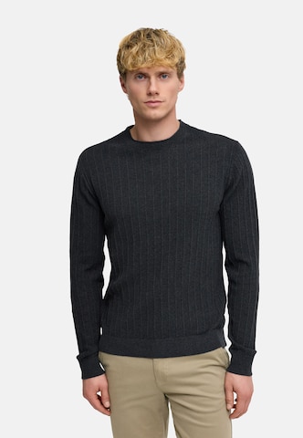 Pull-over 'Alonzo' Kronstadt en gris : devant