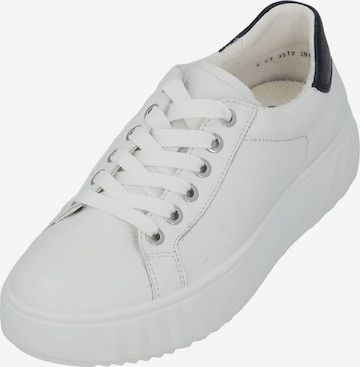 Baskets basses 'Monaco 46523﻿' ARA en blanc : devant