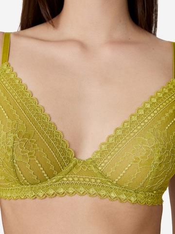 ETAM Balconette BH in Grün