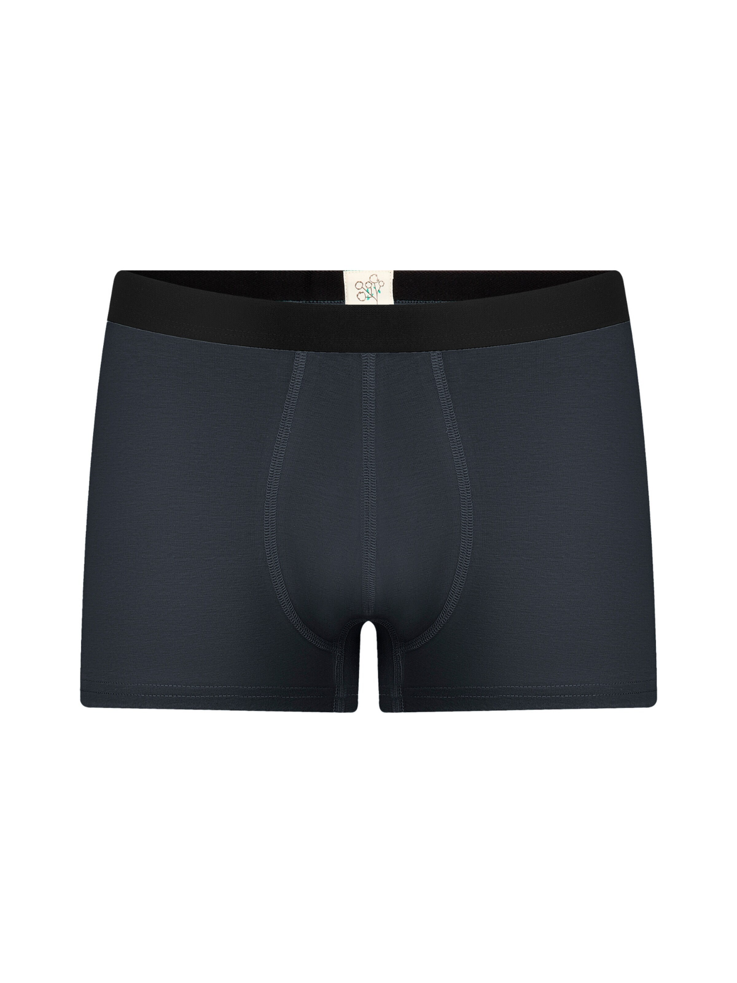 Albero Natur Boxershorts 'Herren Trunkshorts aus Bio-Baumwolle'‌‌ in Grau: Vorderseite