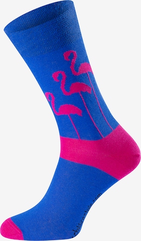 Chili Lifestyle Socks 'Banderole Leisure Socks' in Blue: front
