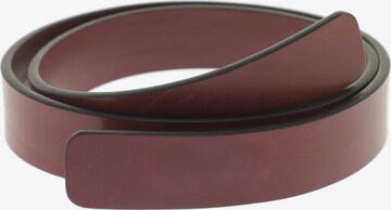 Agnona Belt in One size in Red: front