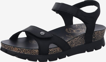 Sandalo 'Sulia Basics B2' di PANAMA JACK in nero: frontale