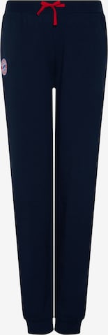FC BAYERN MÜNCHEN Workout Pants 'College' in Blue: front
