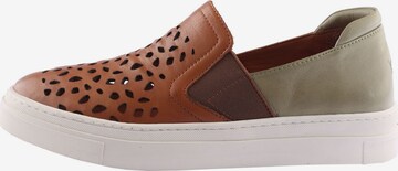 D.MoRo Shoes Sneakers in Brown: front