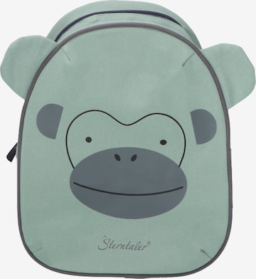 STERNTALER Backpack 'Albert' in Green: front