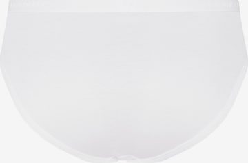 Hanro Panty 'Cotton Pure' in White