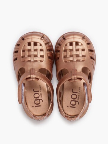 IGOR Beach & Pool Shoes in Brown