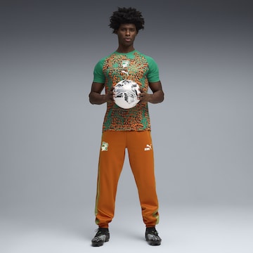 PUMA Tricot 'Elfenbeinküste' in Groen