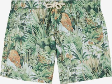 CALZEDONIA Swim Trunks in Green: front