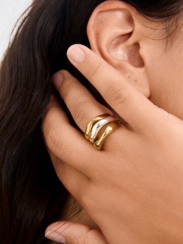 Pilgrim Ring 'NOVA' in Gold: Vorderseite