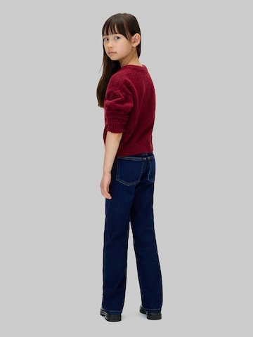 Calvin Klein Jeans Regular Jeans in Blue