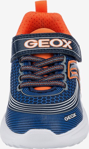 GEOX Sneaker 'Assister' in Blau