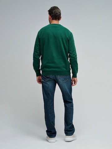 Pull-over Salsa Jeans en vert