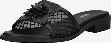 Zoccoletto di Nero Giardini in nero: frontale