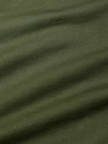 Seasalt Cornwall Sweatshirt 'Wood Moss' in Grün
