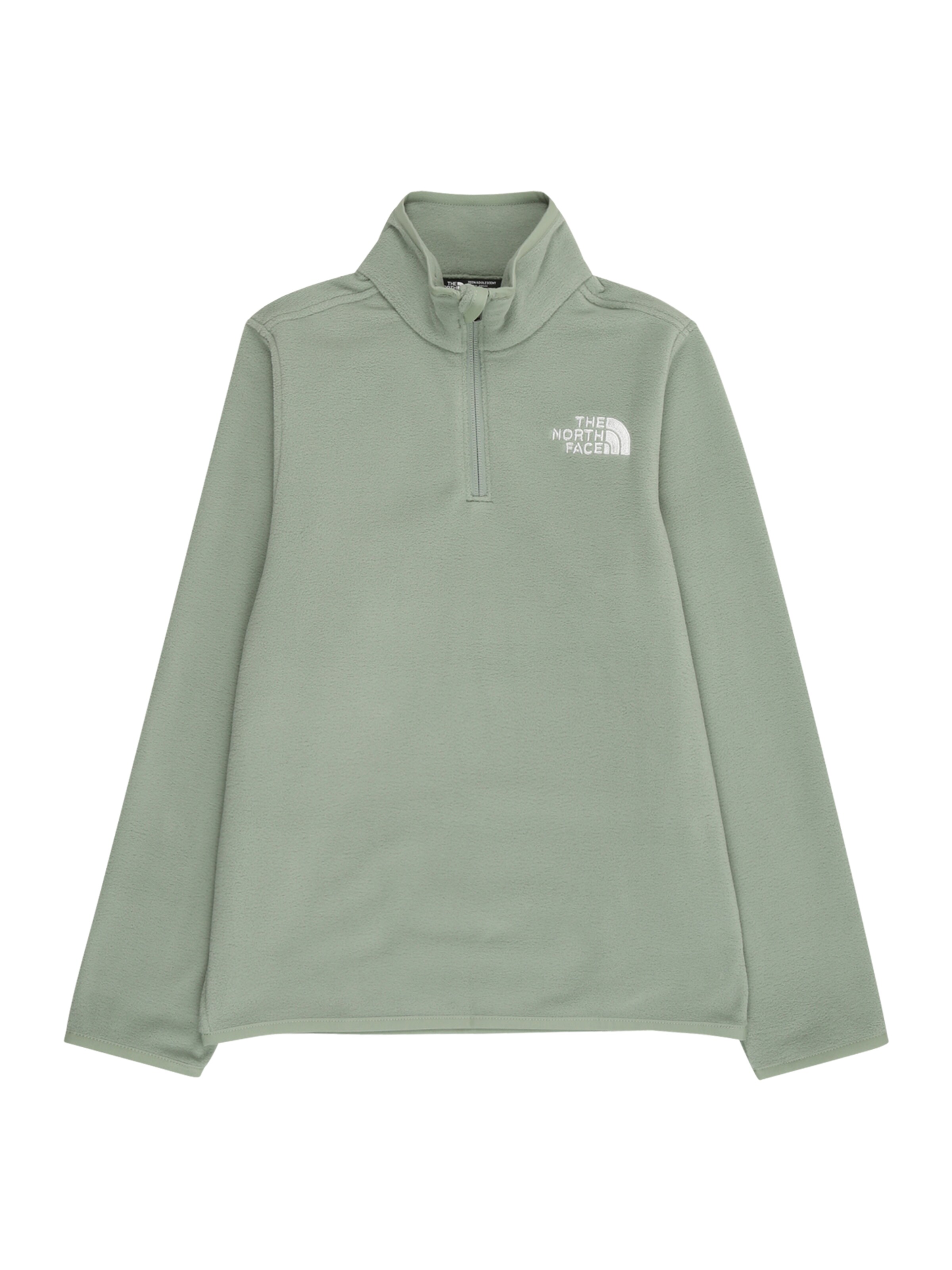 THE NORTH FACE Спортивная кофта 'GLACIER' в Зеленый: спереди