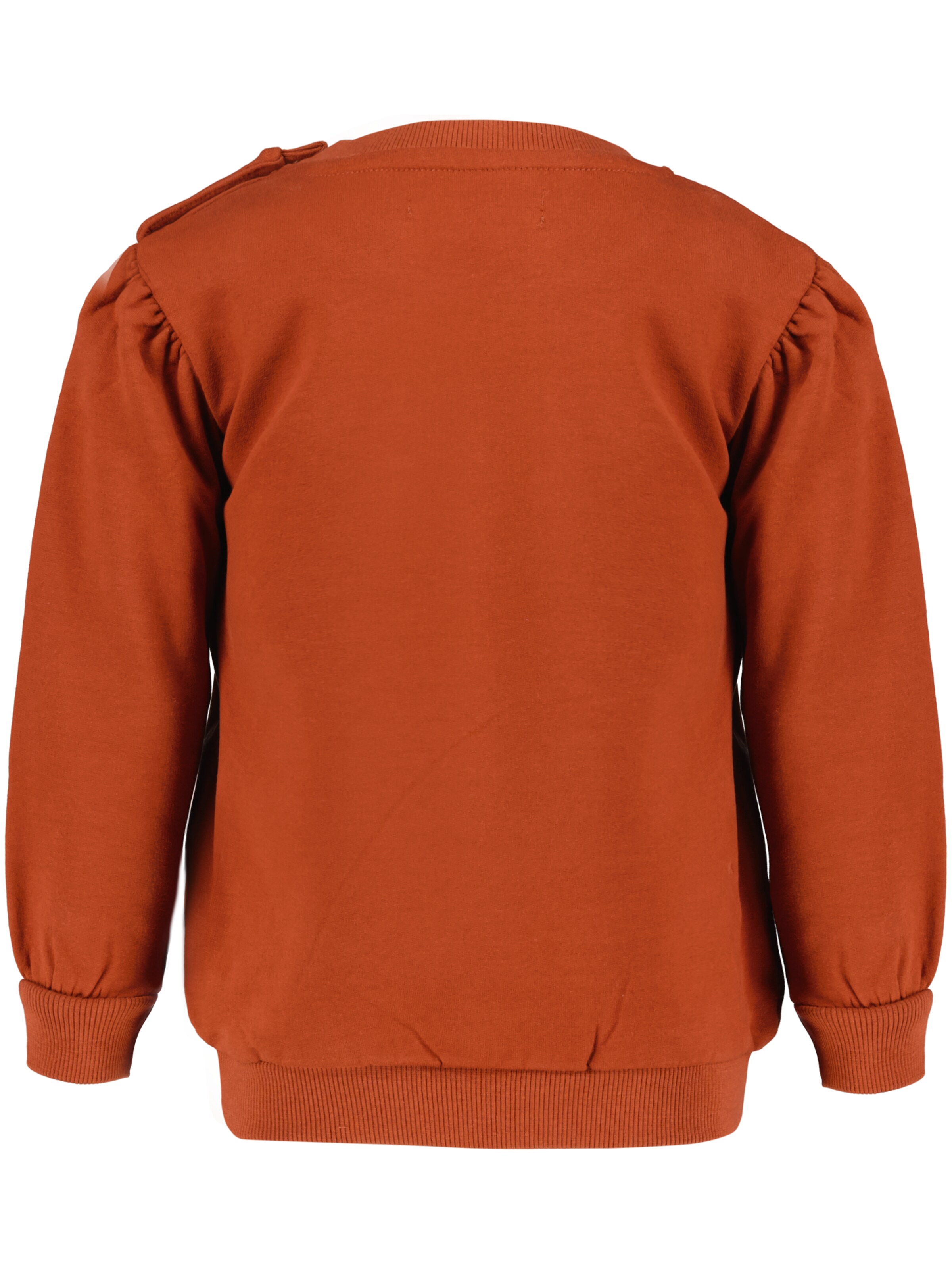 4PRESIDENT Sweater 'Kate' in Brown