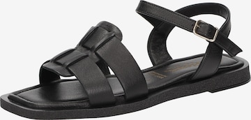 Sandales à lanières 'Molsirka-702' SIOUX en noir : devant