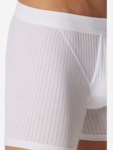 SCHIESSER Boxershorts 'Cotton Essentials Authentic'‌‌‌‌‌‌‌‌ in Weiß