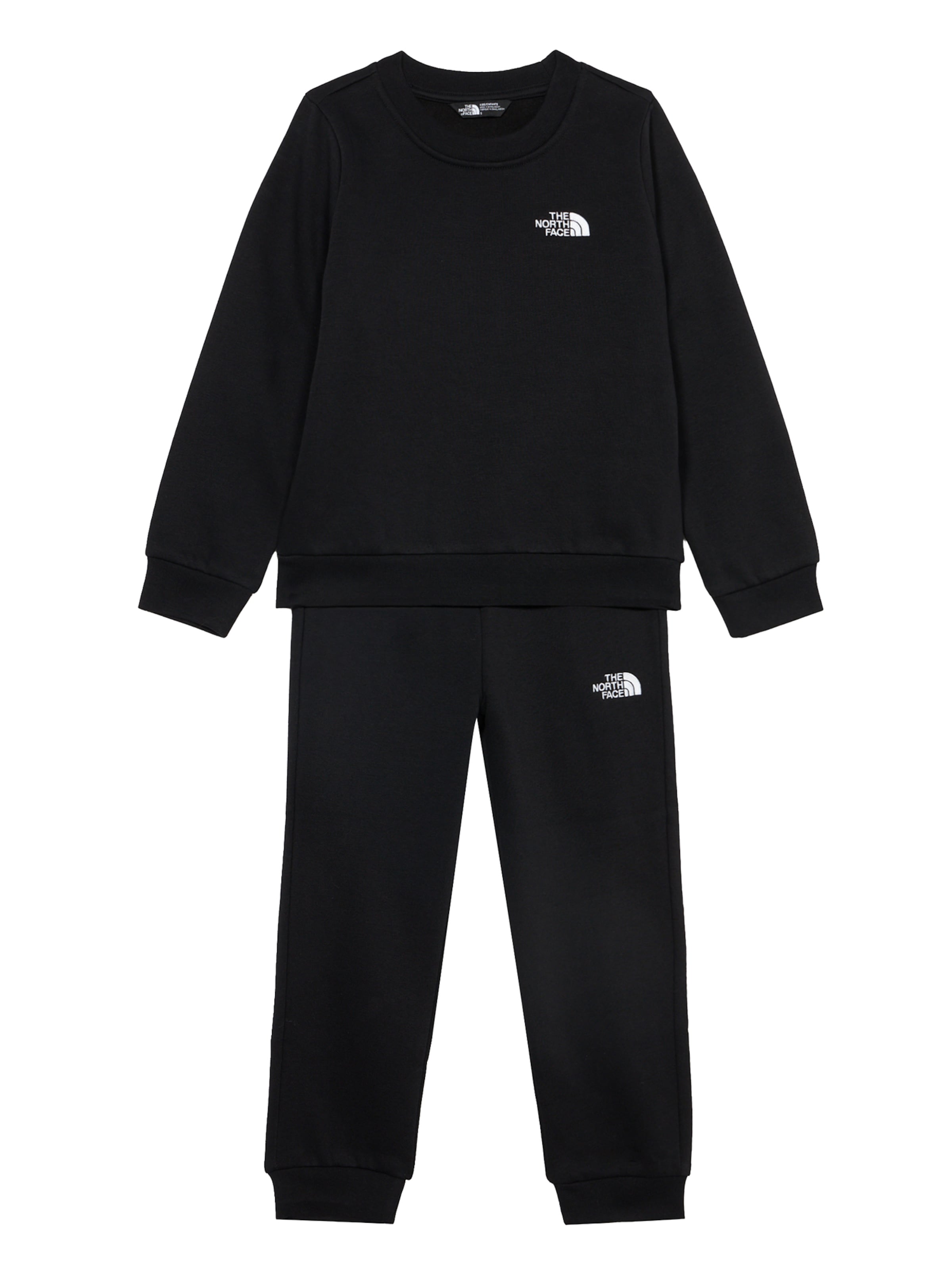 THE NORTH FACE - Fato de treino 'EVOLUTION SIMPLE DOME' em preto: frente