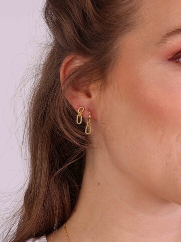 Lucardi Earrings in Gold: front