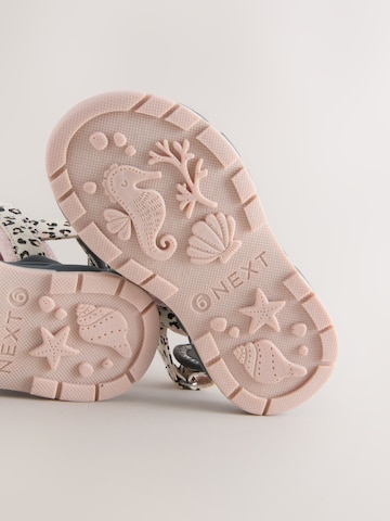 Sandales Next en mélange de couleurs