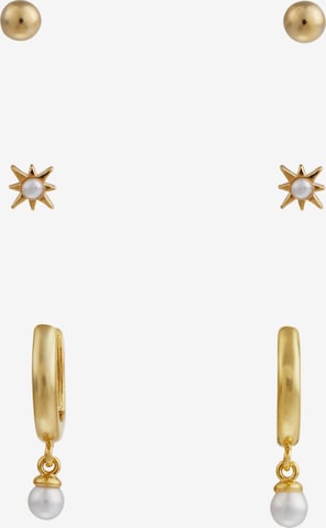 Orelia Earrings in Gold: front