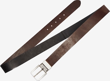 Levi's® Big & Tall Belt in Brown: front